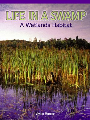 cover image of Life in a Swamp: A Wetlands Habitat